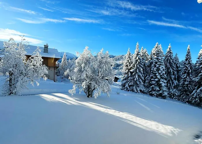 Le Flocon Du Mont Darbois Classe 3 Etoiles