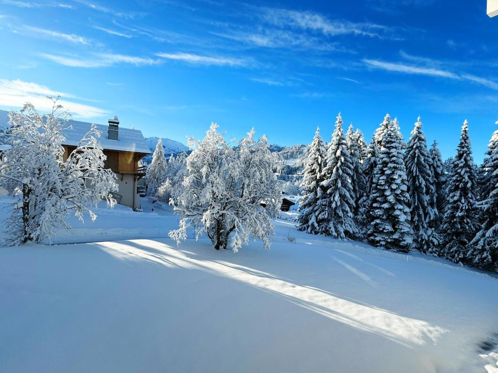 Le Flocon Du Mont Darbois Classe 3 Etoiles Megeve