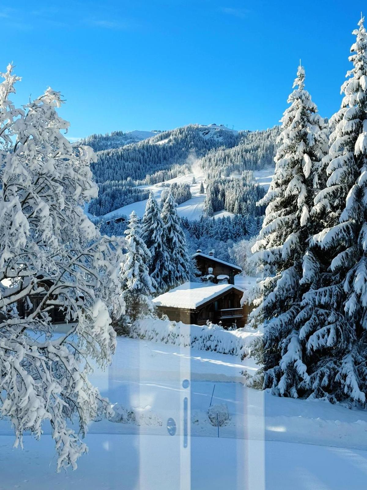 Le Flocon Du Mont Darbois Classe 3 Etoiles Apartment