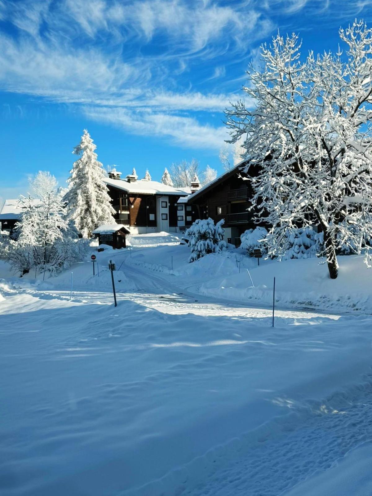 Apartment Le Flocon Du Mont Darbois Classe 3 Etoiles *