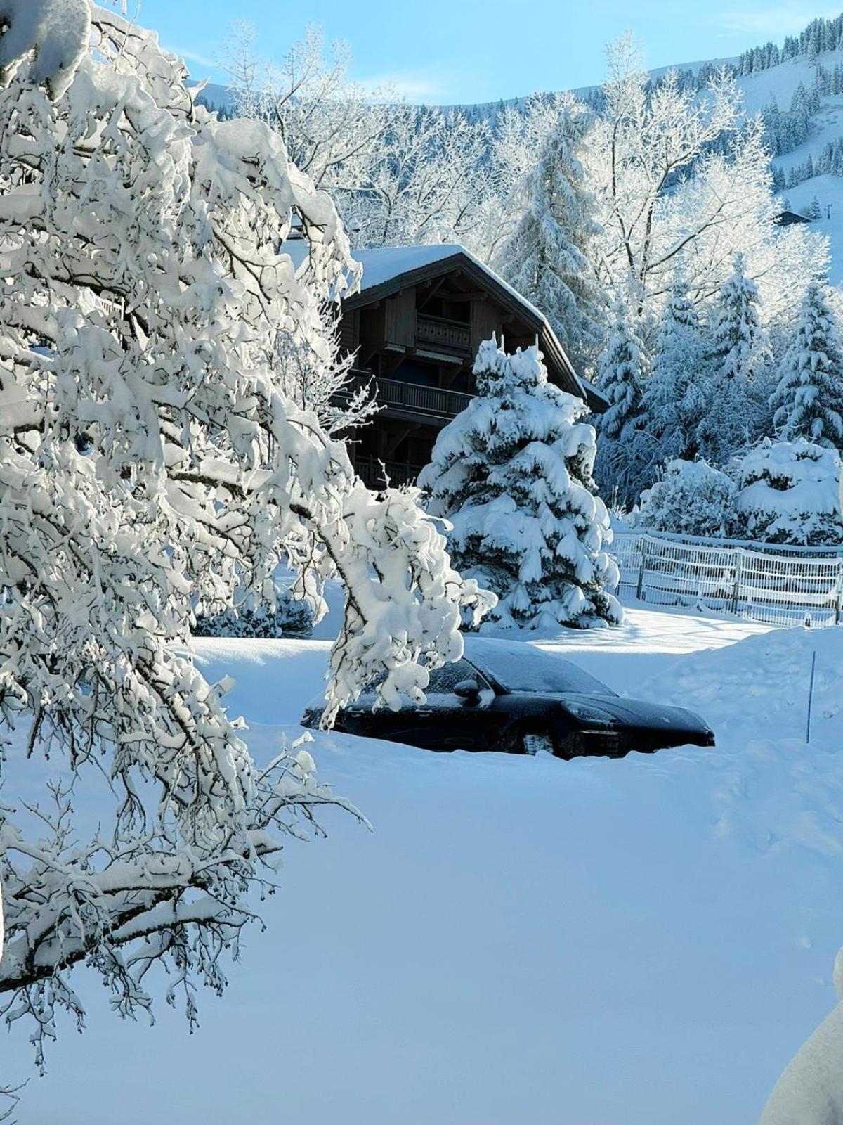 Apartment Le Flocon Du Mont Darbois Classe 3 Etoiles Megeve