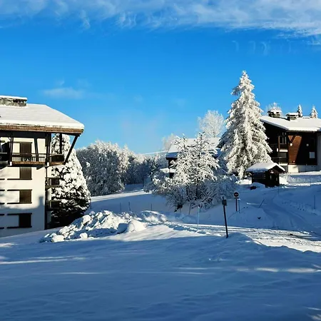 Le FLOCON du Mont Darbois classé 3 étoiles Megève Extérieur photo
